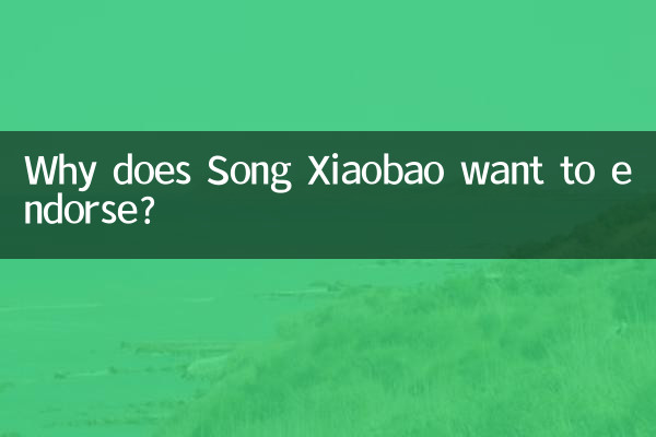 Warum möchte Song Xiaobao unterstützen?