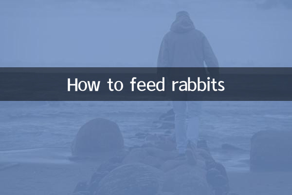 How to feed rabbits