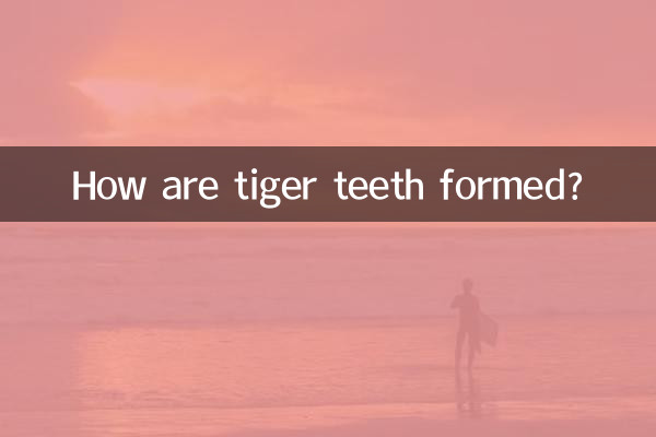 Как образуются зубы тигра?