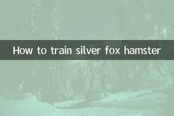 Как дрессировать чернобурого хомяка