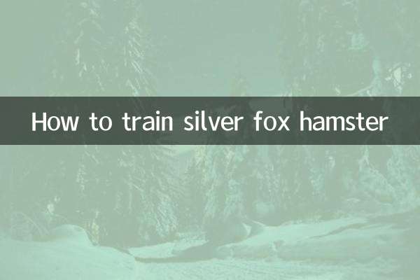 Как дрессировать чернобурого хомяка