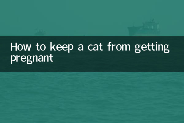 How to keep a cat from getting pregnant