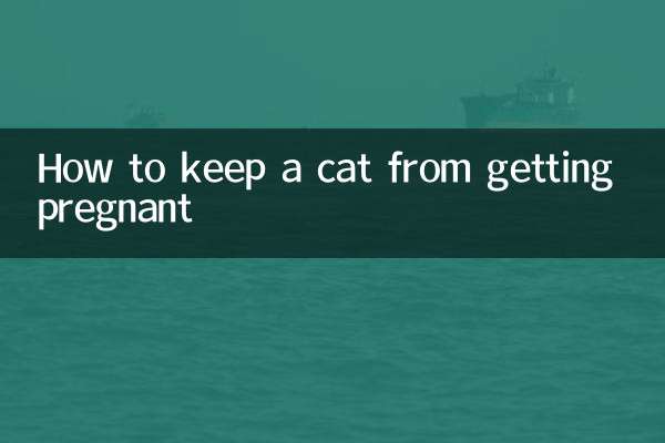 كيفية منع القطة من الحمل