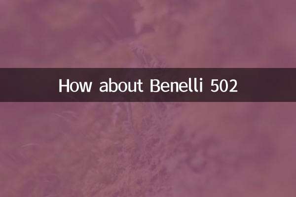 Que diriez-vous du Benelli 502 ?