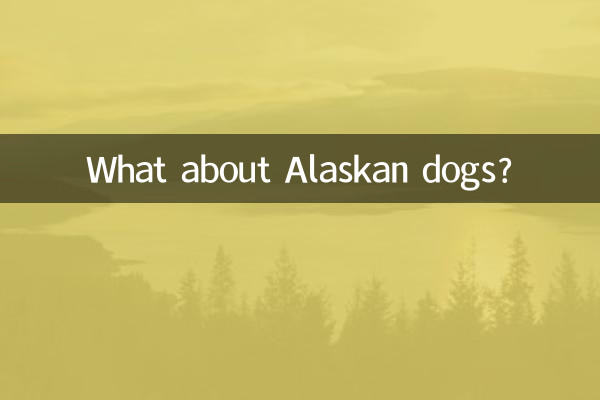 ¿Qué pasa con los perros de Alaska?