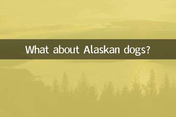 알래스카 개는 어떻습니까?