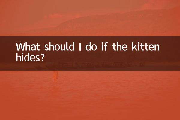 子猫が隠れたらどうすればいいですか？