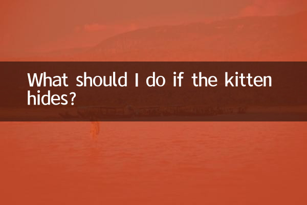 새끼 고양이가 숨어 있으면 어떻게 해야 하나요?