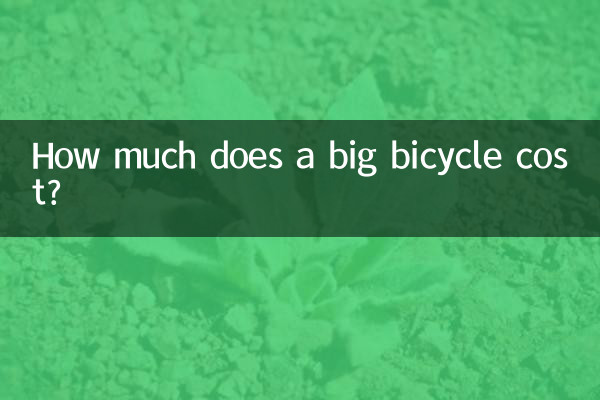 How much does a big bicycle cost?