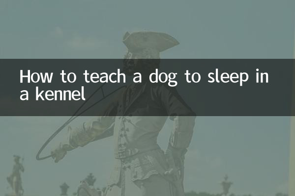 How to teach a dog to sleep in a kennel