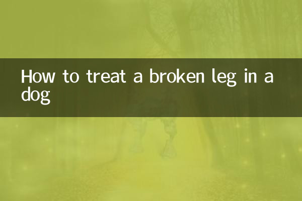 نحوه درمان شکستگی پای سگ