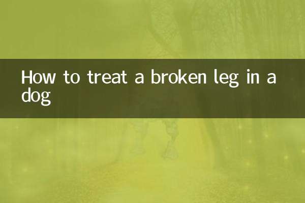 كيفية علاج كسر في ساق الكلب