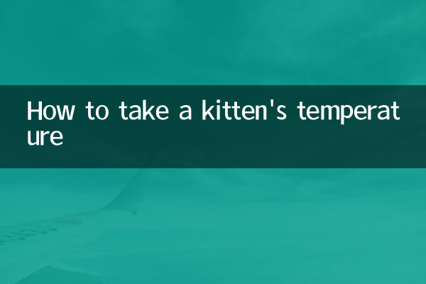 How to take a kitten's temperature
