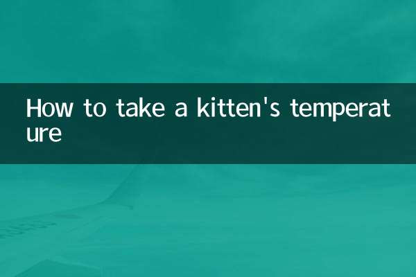 How to take a kitten's temperature