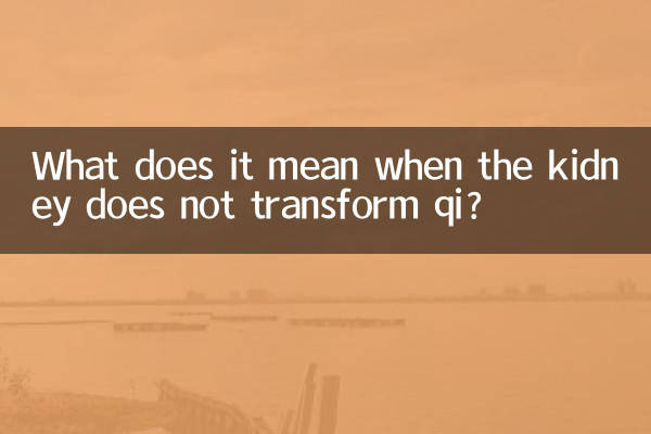 What does it mean when the kidney does not transform qi?