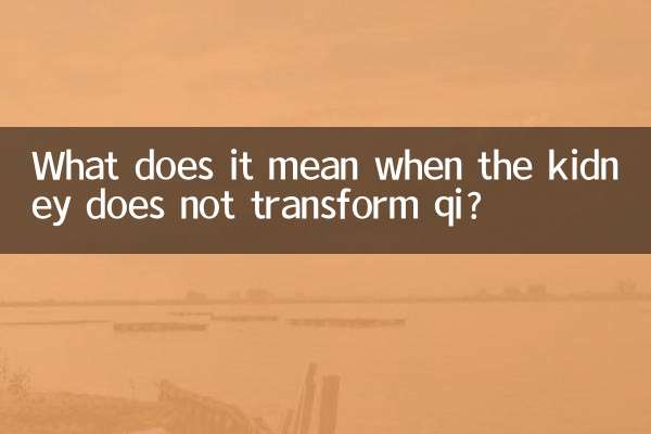 What does it mean when the kidney does not transform qi?