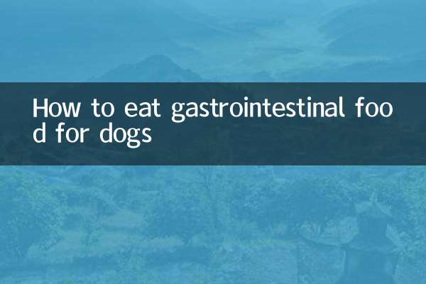 How to eat gastrointestinal food for dogs