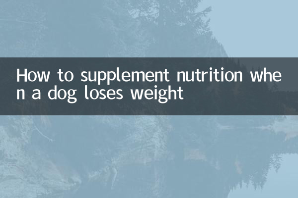 जब कुत्ते का वजन कम हो जाए तो पोषण की पूर्ति कैसे करें