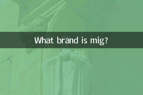 مگ کون سا برانڈ ہے؟