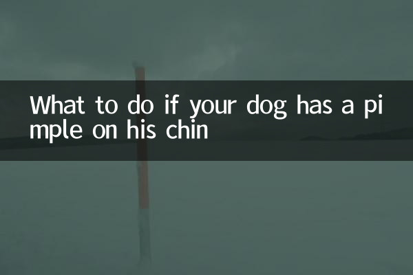 犬の顎にニキビができた場合の対処法