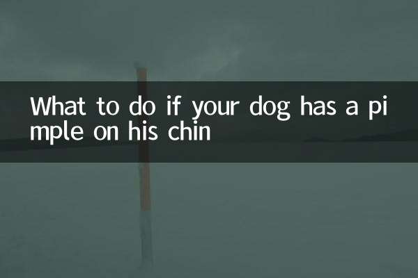 Qué hacer si tu perro tiene un grano en la barbilla