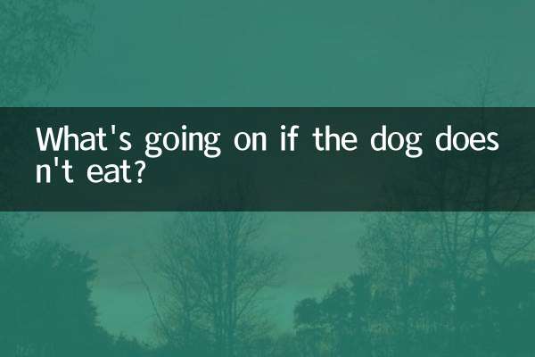 犬がご飯を食べなかったらどうなるのでしょうか？