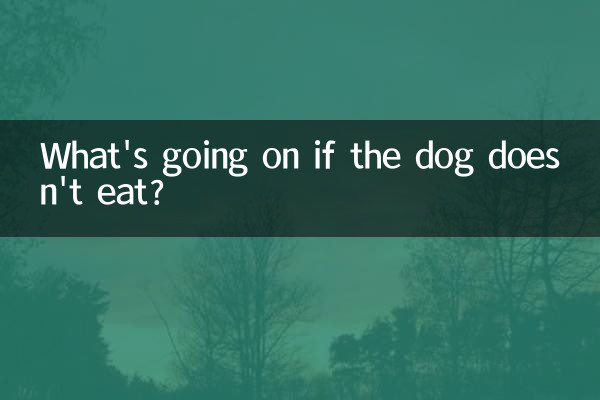 狗不吃飯了是怎麼回事