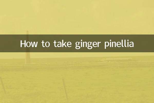 생강 파넬리아 복용방법