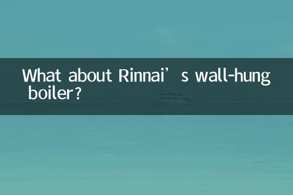 रिनाई के दीवार पर लटके बॉयलर के बारे में क्या?