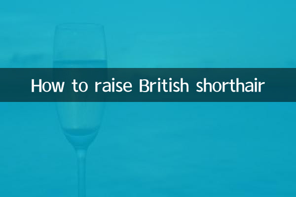 ब्रिटिश शॉर्टहेयर कैसे बढ़ाएं