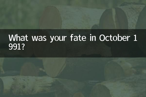¿Cuál fue su destino en octubre de 1991?