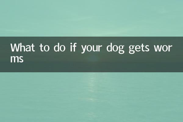 اگر آپ کے کتے کو کیڑے مل جائیں تو کیا کریں