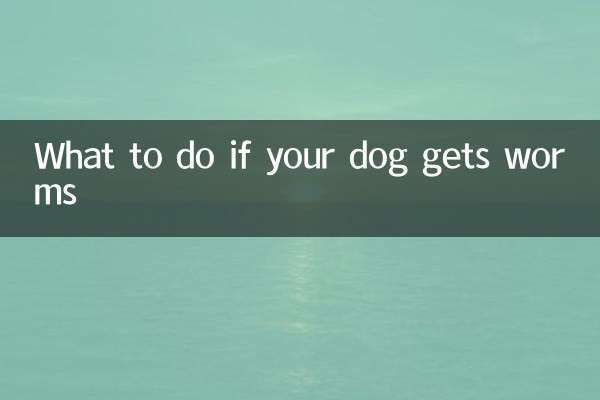 اگر آپ کے کتے کو کیڑے مل جائیں تو کیا کریں