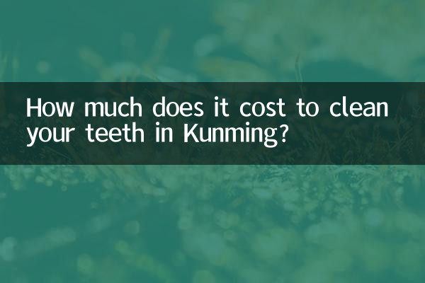 쿤밍에서 치아를 청소하는 데 드는 비용은 얼마입니까?