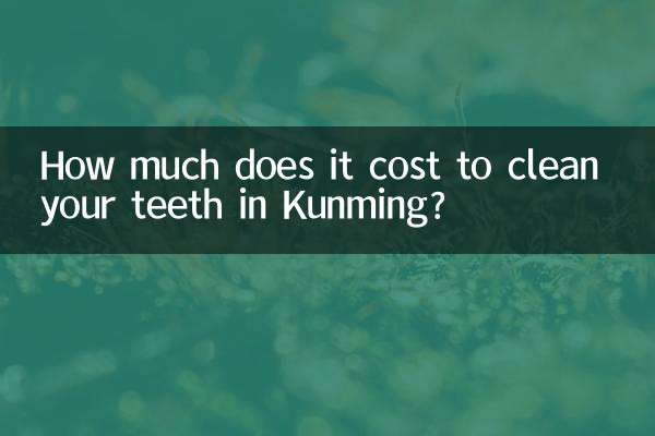 쿤밍에서 치아를 청소하는 데 드는 비용은 얼마입니까?