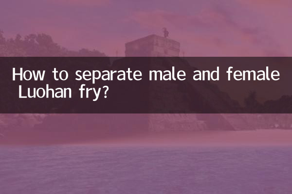 羅漢の稚魚のオスとメスの見分け方は?