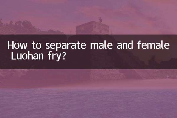 羅漢の稚魚のオスとメスの見分け方は？