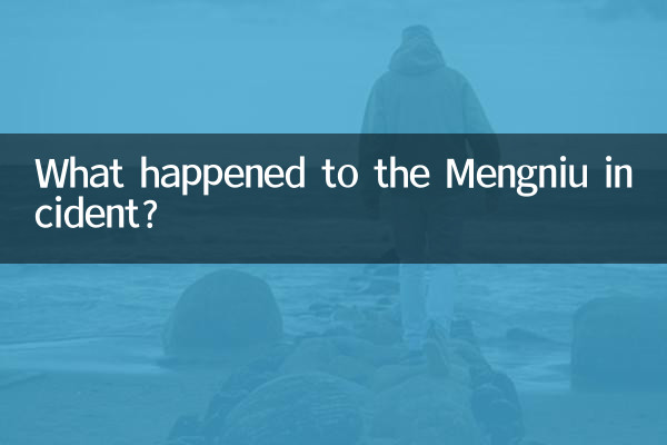 মেংনিউর ঘটনা কি ঘটেছিল?