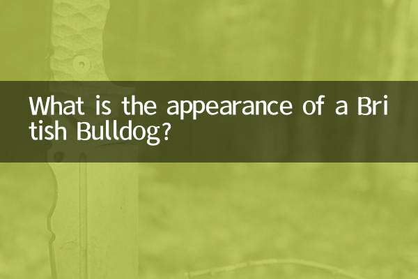 برطانوی بلڈوگ کی ظاہری شکل کیا ہے؟