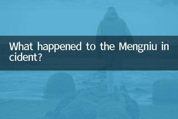 Что случилось с инцидентом в Мэнню?