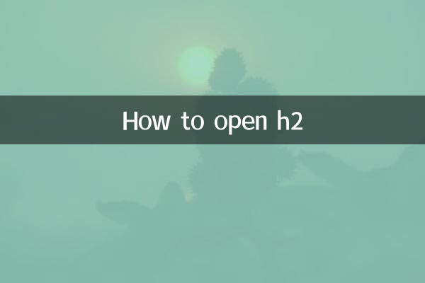 How to open h2