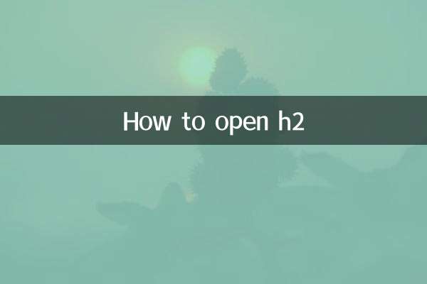 How to open h2