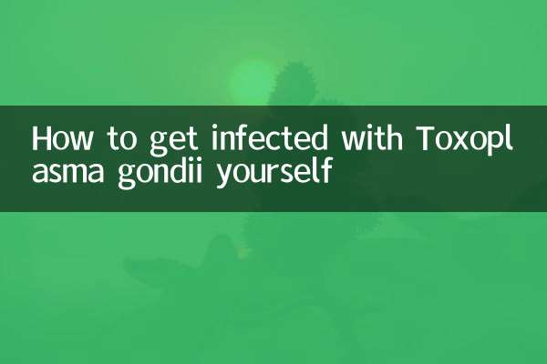 怎麼自己被感染弓形蟲