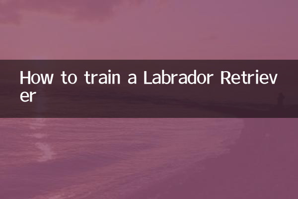 لیبراڈور بازیافت کو تربیت دینے کا طریقہ