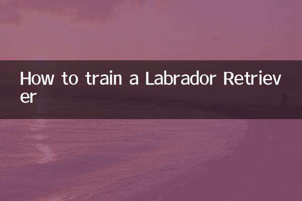 لیبراڈور بازیافت کو تربیت دینے کا طریقہ