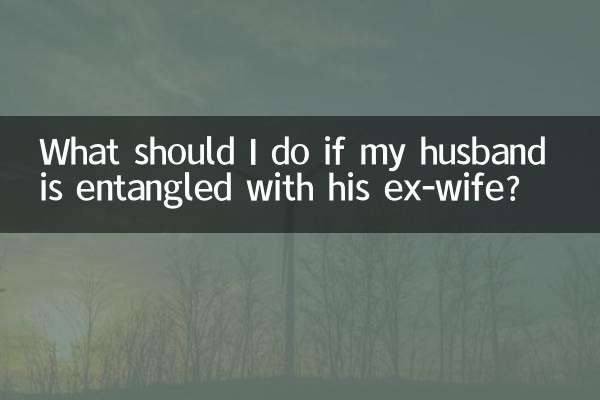 남편이 전처와 엮이면 어떻게 해야 하나요?