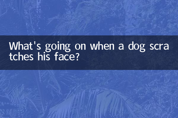 狗狗抓臉是怎麼回事