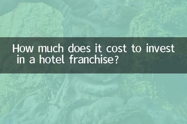 호텔 프랜차이즈에 투자하는 데 드는 비용은 얼마입니까?