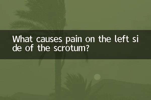 陰嚢の左側の痛みの原因は何ですか?