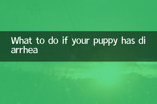 子犬が下痢をした場合の対処法